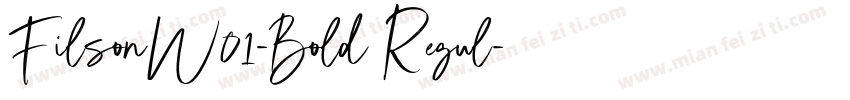 FilsonW01-Bold Regul字体转换